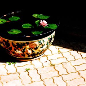 christmas 17 498.jpg