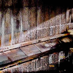 christmas 17 122 2.jpg