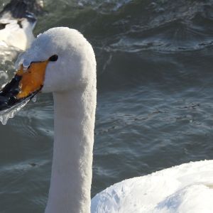 arbeitskopien 25 2.jpg