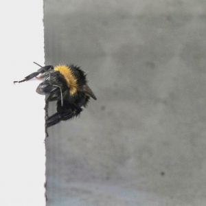 arbeitskopien 624.jpg